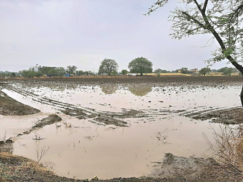 Rain in the Marathwada region; farmer waiting for the big rain | मराठवाड्यात कुठे पाऊस, तर कुठे ऊन; शेतकरी दमदार पावसाच्या प्रतीक्षेत