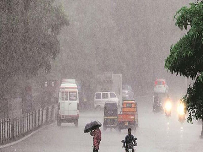 Mostly rain in Vidarbha | विदर्भात बहुतांश ठिकाणी जोरदार पाऊस; हवामान खात्याचा अंदाज