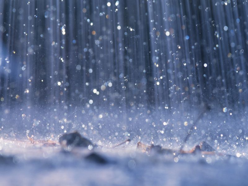 Rain News | हवामान खात्याचा 'रेड अलर्ट', शनिवारसह रविवारी जोर‘धार’