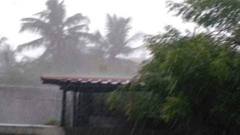 Only six percent rain in six days in Washim district! | वाशिम जिल्ह्यात ६ दिवसात केवळ ६ टक्के पाऊस!