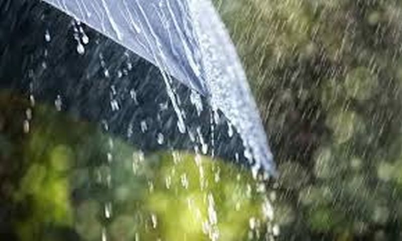 98% rainfall in the state this year! | राज्यात यावर्षी ९८ टक्के पाऊस!