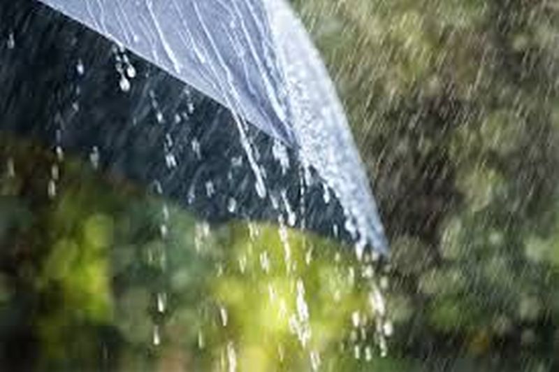 Only 22 percent rainfall in Washim district! | वाशिम जिल्ह्यात केवळ २२ टक्के पर्जन्यमान!