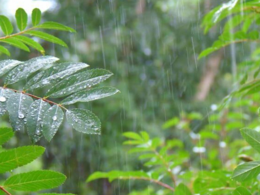 little rainfall in state this Saturday ; weather report rsg | शुक्रवारी राज्यात तुरळक पावसाची शक्यता ; हवामान विभागाचा अंदाज