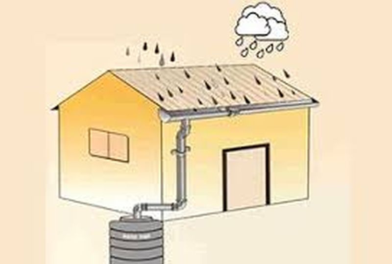 Rainwater Harvesting, Plantation Compulsory for Municipal workers | मनपा कर्मचाऱ्यांना रेन वॉटर हार्वेस्टिंग, वृक्षारोपण सक्तीचे
