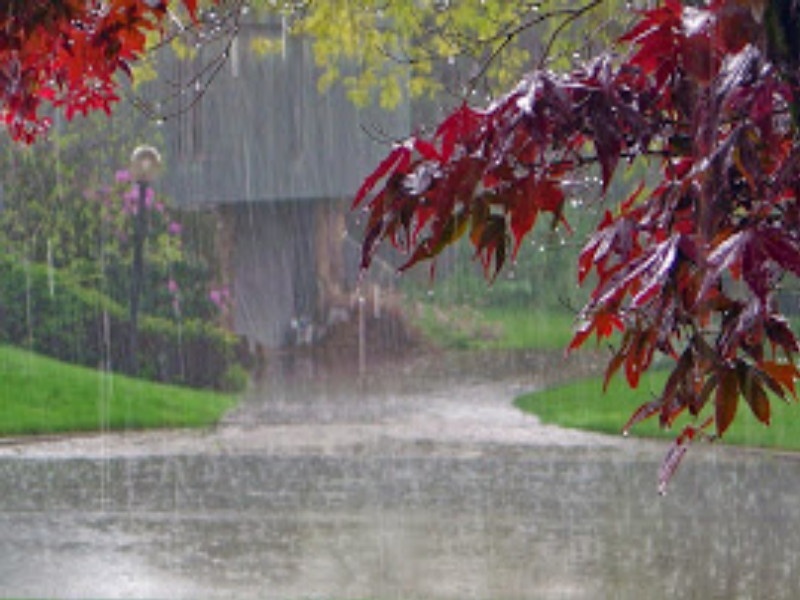 The probability of the continuation rain | राज्यात पावसाची ओढ कायम राहण्याची शक्यता