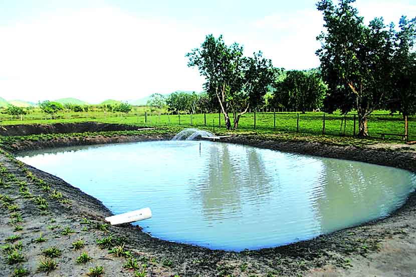mother daughter unfortunate death drowning in the fields tank | शेततळ्यात बुडून मायलेकींचा दुर्दैवी मृत्यू