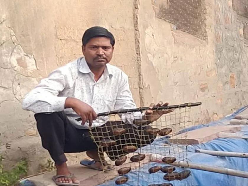 rajasthan ajmer farmer earning lakhs of benefit by pearl farming | लय भारी! कोरोनामुळे नोकरी गेली पण 'त्याने' हार नाही मानली; 'अशी' लाखोंची कमाई केली