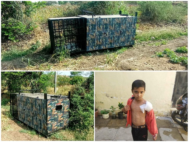 leopard attack on a nine year old boy rajgurunagar second incident in 15 days | नऊ वर्षाच्या मुलावर बिबट्याचा प्राणघातक हल्ला; १५ दिवसातील दुसरी घटना