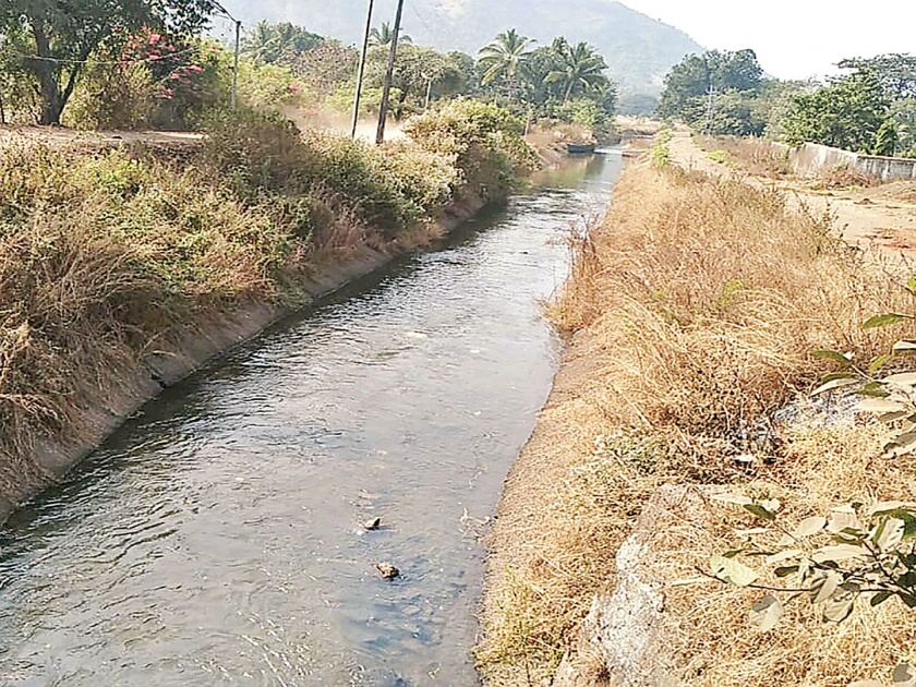 Water left to Rajan canal; Emphasis on agricultural work | राजनाला कालव्याला सोडले पाणी; शेतीच्या कामांना जोर