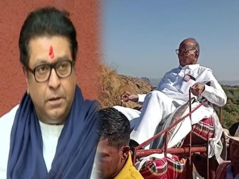 Raj Thackeray's criticism of Sharad Pawar regarding NCP's new party symbol launching at Raigad | कधीही छत्रपतींचं नाव न घेणाऱ्यांना रायगड आठवला; राज ठाकरेंची शरद पवारांवर टीका