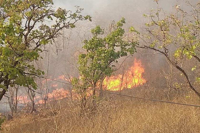 Fire in Rajur Ghat; thounds of tree burnt | राजूर घाटात आगीचे तांडव; वनसंपदा नष्ट