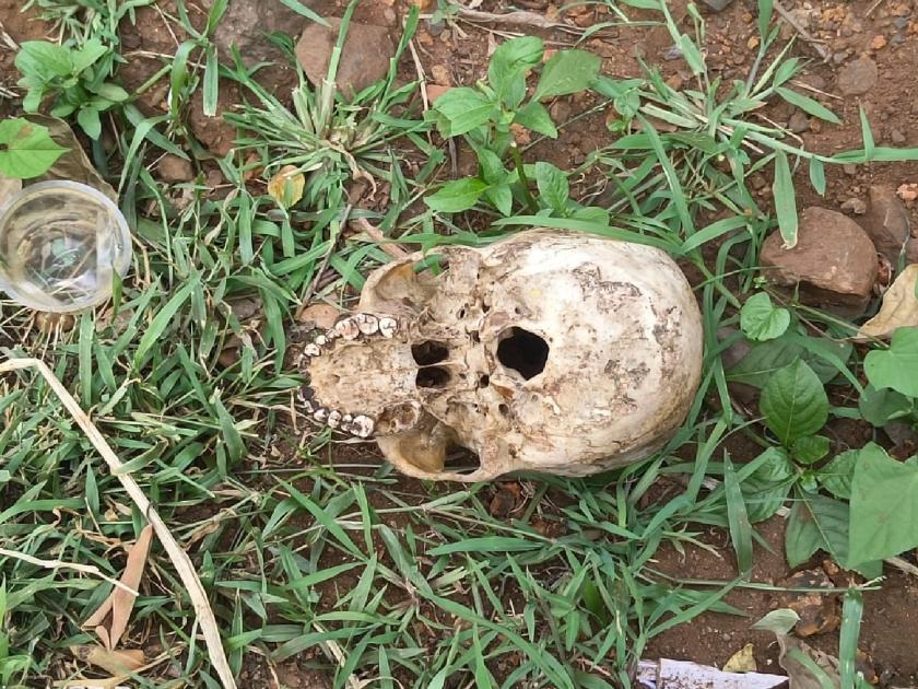 Man skull found near Ramtirtha in Ajara taluka Kolhapur district, The skull will be DNA tested | रामतीर्थजवळ सापडली माणसाची कवटी, कवटीची डीएनए चाचणी होणार; आजऱ्यात खळबळ