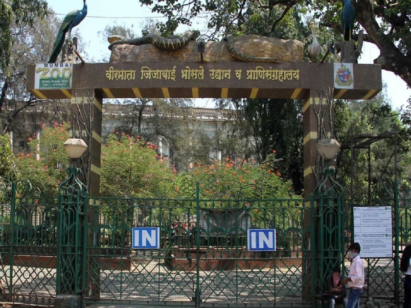 Tourists of ranis garden raja visited 21 lakhs in 9 months in mumbai | राणीच्या बागेचा पर्यटकच ‘राजा’; ९ महिन्यांत तब्बल २१ लाख लाेकांची भेट