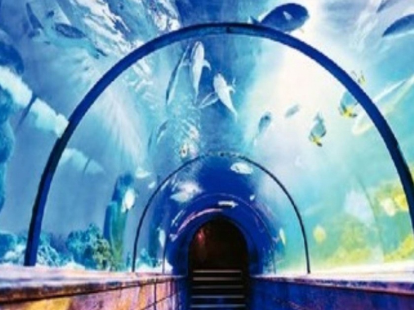 colorful fish in the rani baugh a walk through tunnel for tourists also an extension of the penguin room in mumbai | राणीच्या बागेत रंगीबेरंगी मासे; पर्यटकांसाठी लवकरच ‘वॉक थ्रू टनेल’, पेंग्विन कक्षाचाही विस्तार