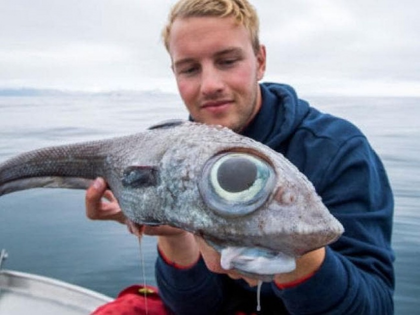 Fisherman reels dinosaur like creature large bulbous eyes tiny body near Norway | 'त्याच्या' गळाला लागला डायनोसॉरसारखा दिसणारा विचित्र जीव आणि....