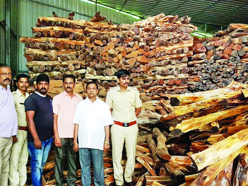 Ratnagiri: Inspecting five kite growers in Chiplun, 16 tons of well wood stocking seized | रत्नागिरी : चिपळुणात पाच कात उत्पादकांची तपासणी, १६ टन खैर लाकूडसाठा जप्त