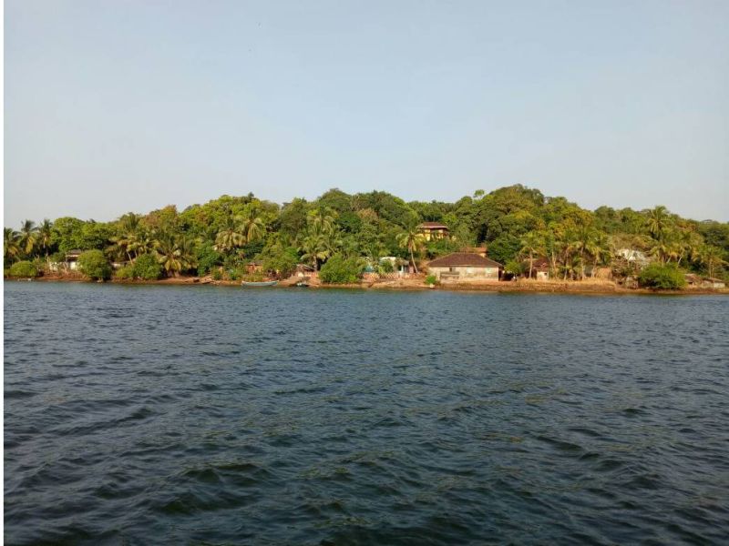 Voters number 71 on the island lying on the bay, started by Gram Panchayat elections | खाडीत वसलेल्या बेटावर मतदार संख्या ७१, ग्रामपंचायतीला लागले निवडणुकीचे वारे