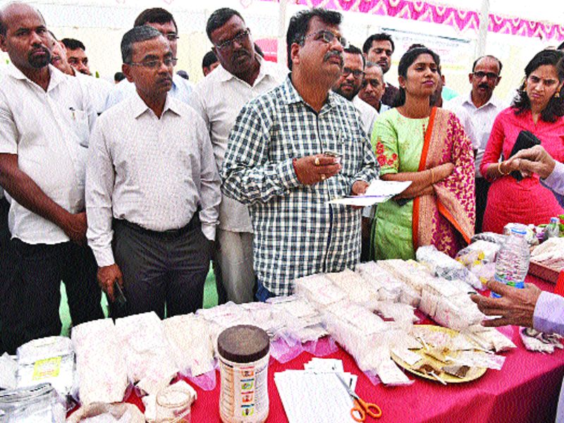 Farmers will benefit from the Agri Festival: Ravindra Chavan | कृषी महोत्सवाचा शेतकऱ्यांना लाभ होणार - रवींद्र चव्हाण