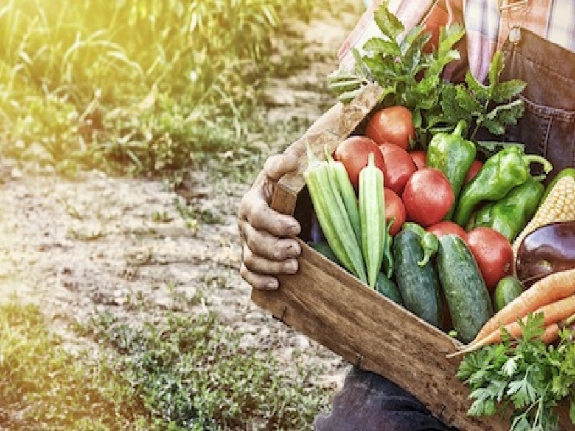Don't eat raw vegetables; proved dangerous to your health | कोरोनात रोगप्रतिकारक शक्ती वाढवण्याचा हा नवा ट्रेण्ड ठरू शकतो घातक