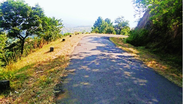Protection of roads in Radhanagari taluka, road disaster - lack of directional boards, barrier to wildlife law hazards | राधानगरी तालुक्यात संरक्षण कठडे,रस्त्यांची दुरवस्था- दिशादर्शक फलकांचा अभाव,घाटांना वन्यजीव कायद्याचा अडथळा