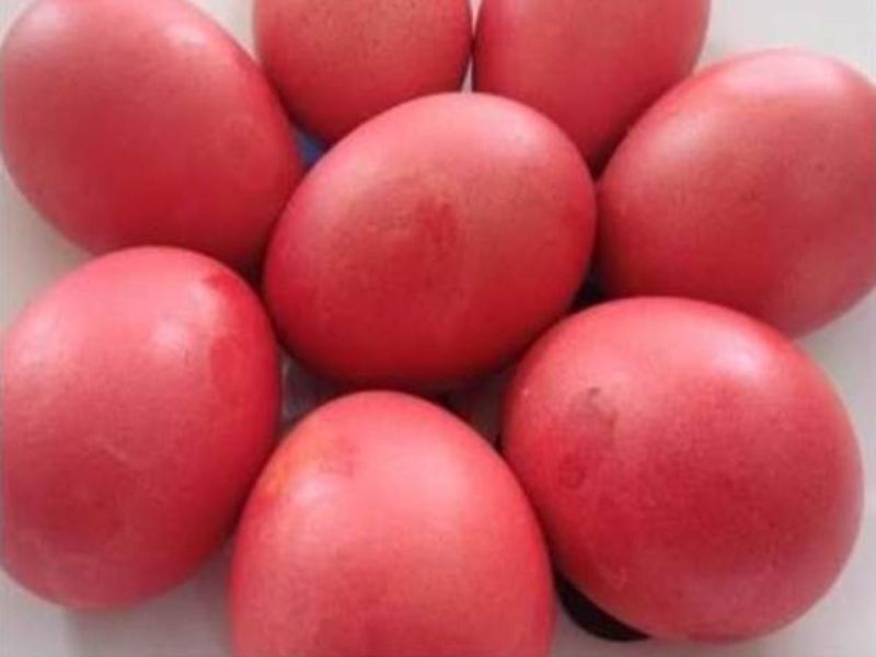Amravati jara hatke News | बहिरमच्या यात्रेत लाल रंगाची अंडी देणारी कोंबडी