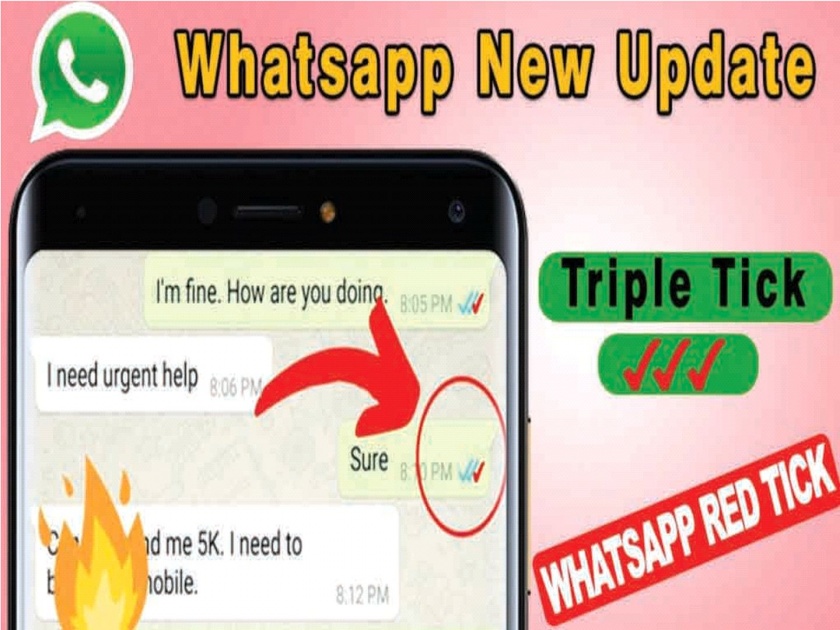 fact check Will there really be three red ticks on WhatsApp | WhatsApp: व्हॉट्सॲपवर तीन लाल टिक खरंच येणार का? व्हायरल मेसेजमागील सत्य काय?