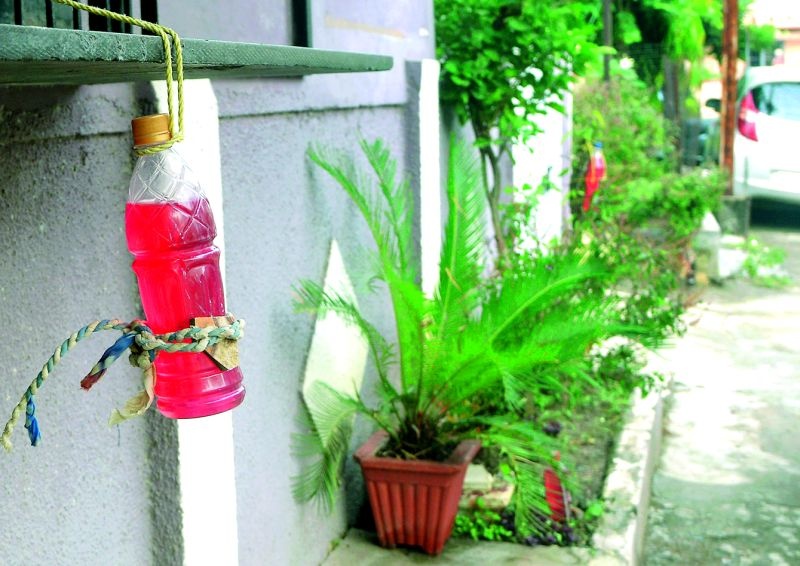 Jara Hatke: Red water bottles are installed at home gate in Nagpur! | जरा हटके : नागपुरात घराच्या गेटवर लागल्यात लाल पाण्याच्या बाटल्या !