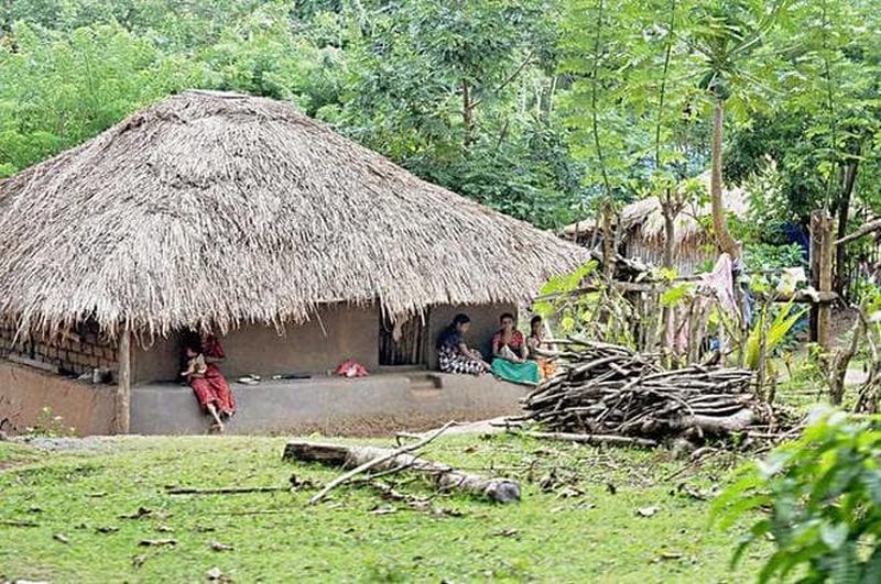 Melghat Rehabilitated tribals' lives in danger! | पुनर्वसित आदिवासींचे जीवन धोक्यातच!