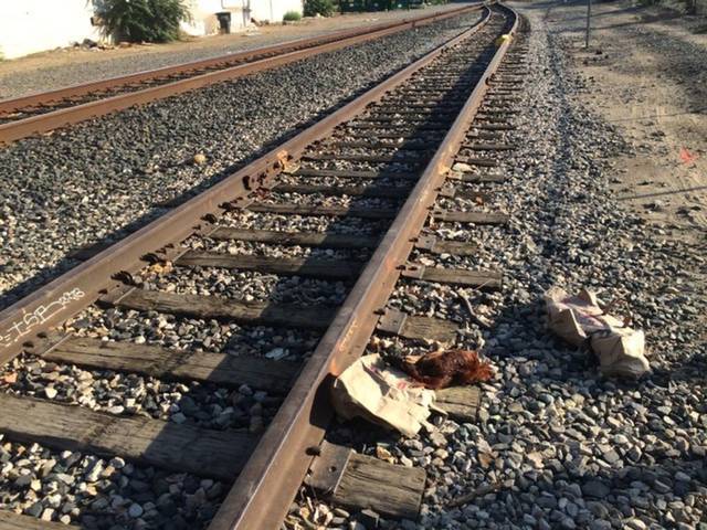 Suicides under mother's train along with two little children | दोन चिमुकल्यांसह मातेची रेल्वेखाली आत्महत्या