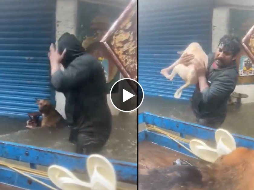 Viral video of chennai floods men rescue dogs from heavy rain video goes viral on social media  | माणसातील देव! पुराच्या पाण्यात अडकलेल्या श्वानाला रेस्क्यू टीमकडून जीवनदान; Video व्हायरल