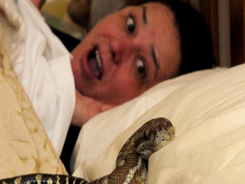 Snake bites two sisters in bed ambikapur Chhattisgarh | 'आई, दीदी चिमटा काढतेय' असं चिमुरडी सांगत होती, पण सापाने दोन बहिणींना आधीच दंश केला होता!