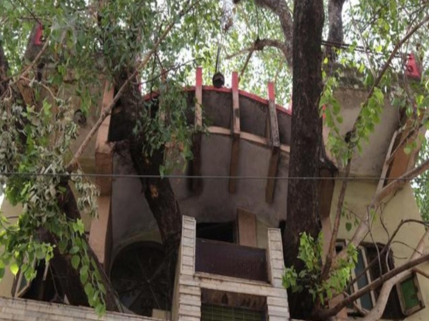 Madhya Pradesh family branches out with novel tree house | क्या बात! 150 वर्षे जुन्या झाडाची एक फांदीही न तोडता बांधलं अनोखं घर, दूरदूरून बघायला येतात इंजिनिअर!