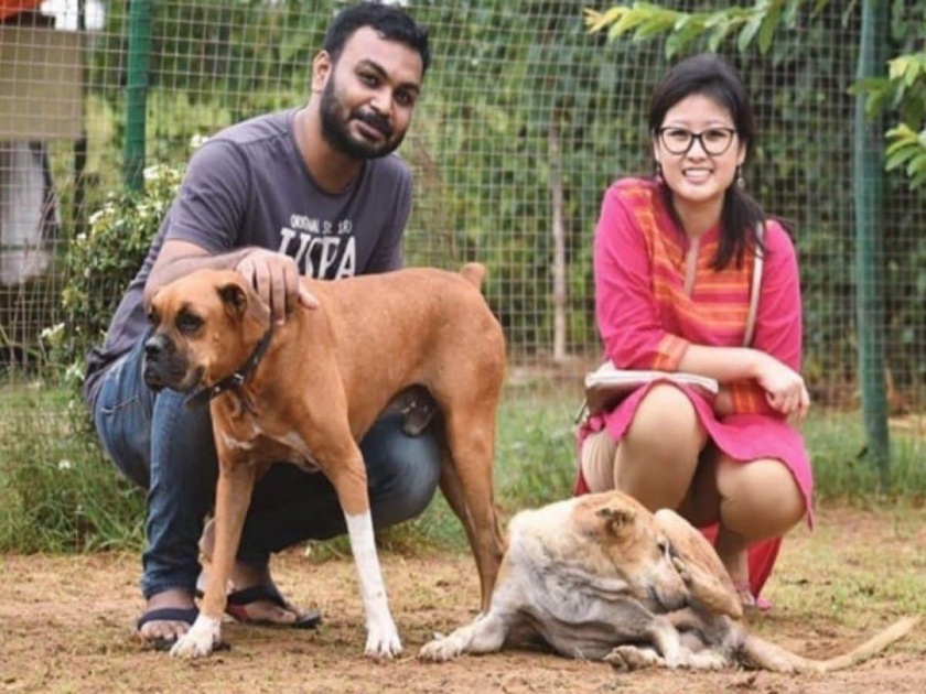 Couple gets married feeds 500 stray animals in Bhubaneshwar | शानदार जबरदस्त जिंदाबाद! लग्नाच्या बेडीत अडकलं कपल, ५०० मुक्या प्राण्यांना दिली जंगी पार्टी!