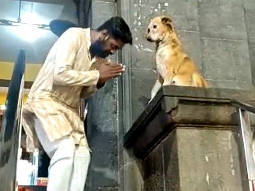 Dog shakes hands and blesses devotees of Siddhivinayak mandir Siddhatek | हेच राहिलं होतं! मंदिरात बघायला मिळालं अनोखं दृश्य, भक्तांना 'आशीर्वाद' देताना दिसला कुत्रा!