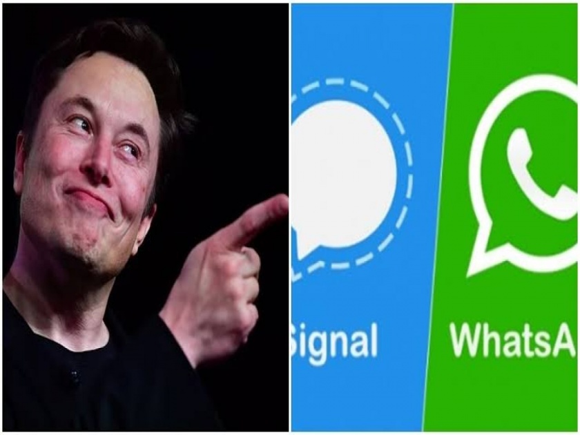 What is it about Signal App that even the richest person in the world uses instead of WhatsApp? | असं काय आहे Signal App मध्ये की जगातली सर्वात श्रीमंत व्यक्तीही WhatsApp ऐवजी हेच वापरतो?