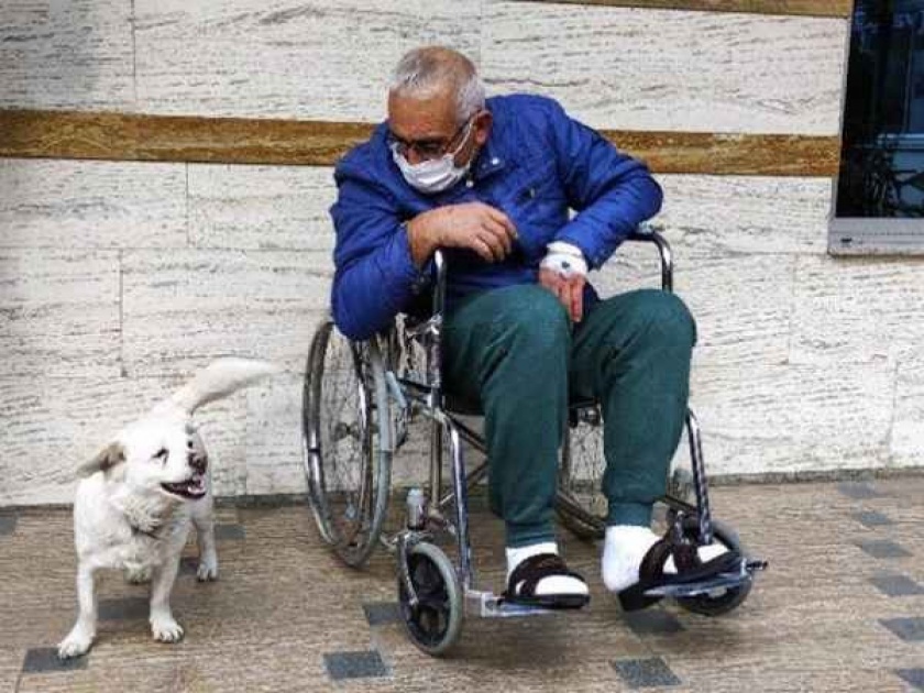 Dog waits outside hospital for days because her sick owner was admitted there | VIDEO : आजारी होते मालक, त्यांना भेटण्यासाठी रोज घरातून पळून हॉस्पिटलला जात होता हा डॉगी!