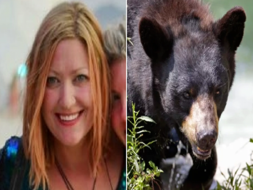 Woman was using toilet and bear attacked on her news from Alaska | OMG! टॉयलेटमध्ये गेलेल्या महिलेवर अस्वलाने केला हल्ला, वाचा पुढे काय झालं?