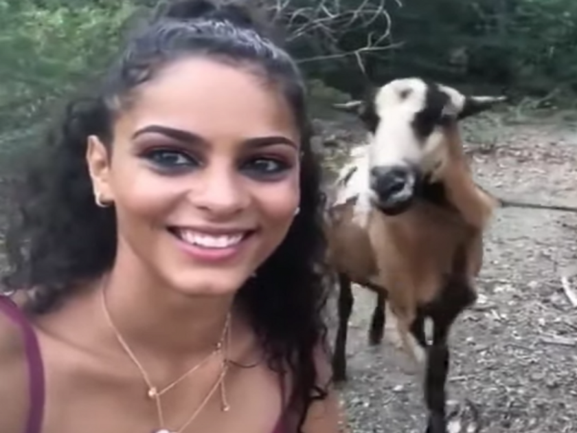 Funny selfie video when woman was taking selfie with goat Instagram viral video | VIDEO : महिला काढत होती सेल्फी, बकरीने मागून येऊन दिला जोरदार दणका आणि...