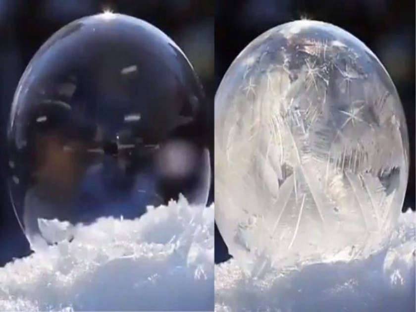 Viral video : This is how bubble freezing in snow, see the rare footage | VIDEO : बघा पाण्याचा बुडबुडा गोठून बर्फ कसा होतो, कधी पाहिला नसेल असा नजारा!