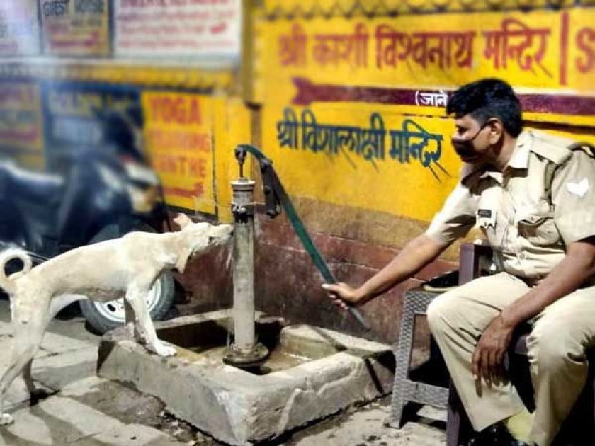 Viral pic Banaras policeman helps street dog drink water from Handpump | कडक सॅल्यूट! या फोटोने सोशल मीडियावरील लोकांच्या मनात केलं घर, पोलिसवाल्याचं भरभरून कौतुक!