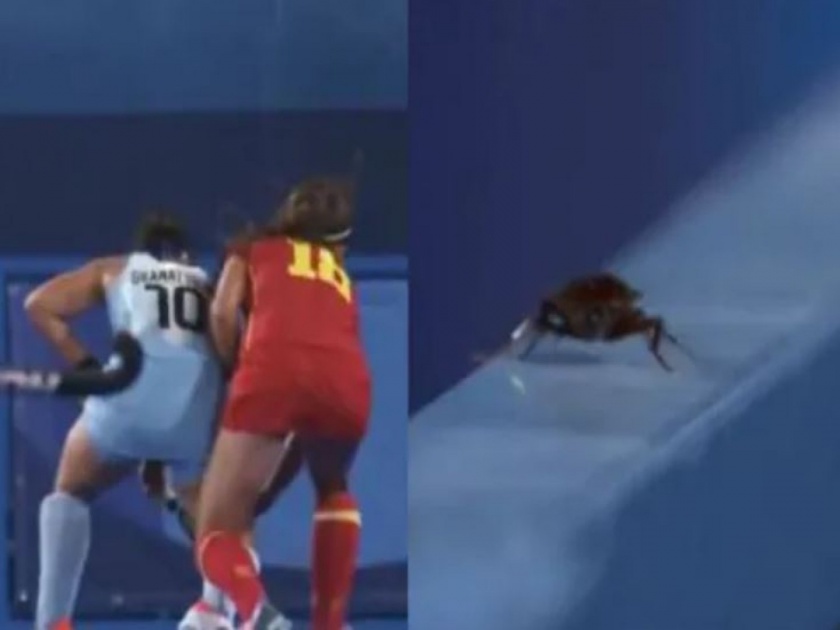 Tokyo Olympic : cockroach entered in the hockey match, video goes viral | टोकियो ऑलिम्पिकमध्ये घेतली एका प्राण्याने एंट्री, हॉकीची मॅच सोडून त्या प्राण्याचीच चर्चा