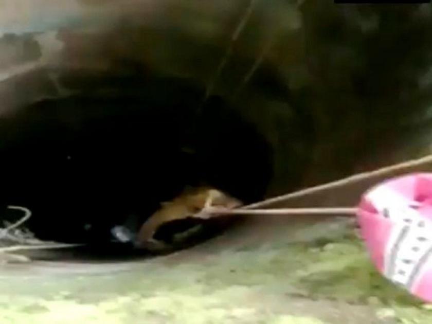 Kerala women fall into 50 feet well watch rescue operation video goes viral | महिला पडली तब्बल ५० फूट खोल विहिरित, तिला बाहेर काढतानाचा थरार कॅमेऱ्यात कैद