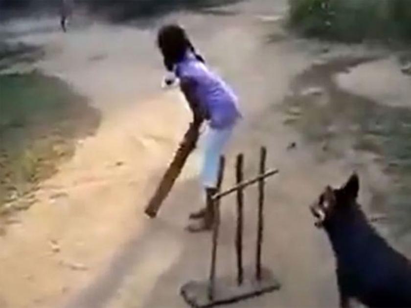 Sachin Tendulkar shares video of dog doing excellent wicketkeeping netizens applaud | सचिन तेंडुलकर एका क्रिकेटवर झालाय भारीच इम्प्रेस पण हा क्रिकेटर आहे चक्क एक कुत्रा...