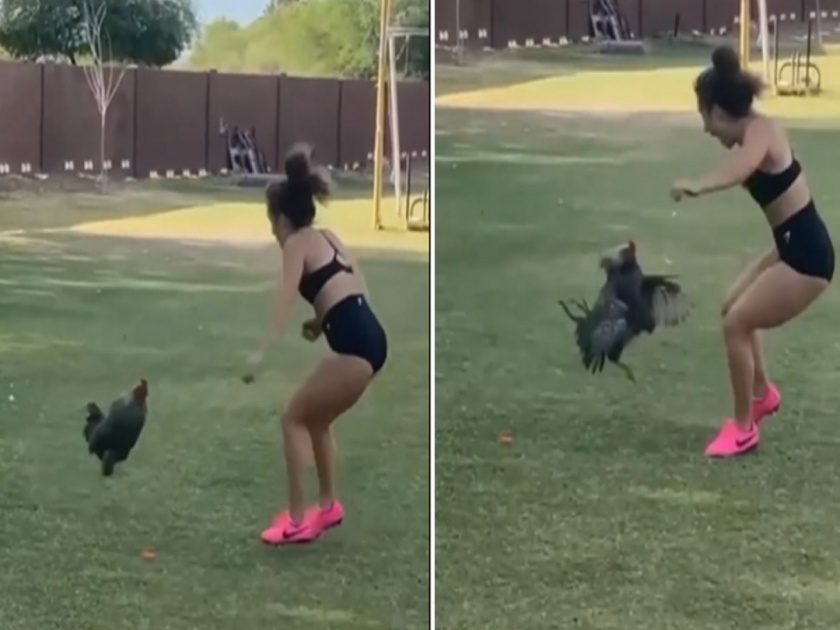 Viral Video : Chicken attack on girl, video goes viral on social media | Viral Video: तरूणीनं कोंबड्यासोबत घेतला पंगा, त्यानं तिला चांगलाच दाखवला ईंगा