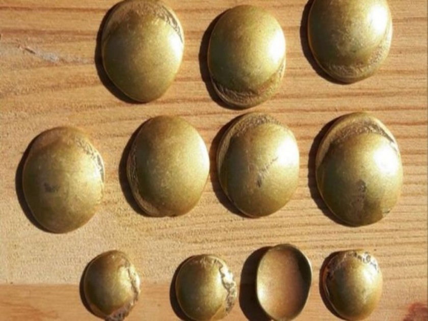 Archaeology breakthrough as 'once in a lifetime' hoard of 2,000-year-old gold coins found | बाबो! शेतकऱ्याच्या शेतात २ हजार वर्षांपासून दबला होता किंमती खजिना, जमीन खोदताच चमकलं नशीब!