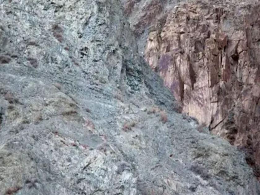 Optical illusion : Can you find hidden leopard in mountains | Optical Illusion: 20 सेकंदात डोंगरात लपलेला बिबट्या शोधताना फुटेल घाम, 99 टक्के लोक झाले फेल!