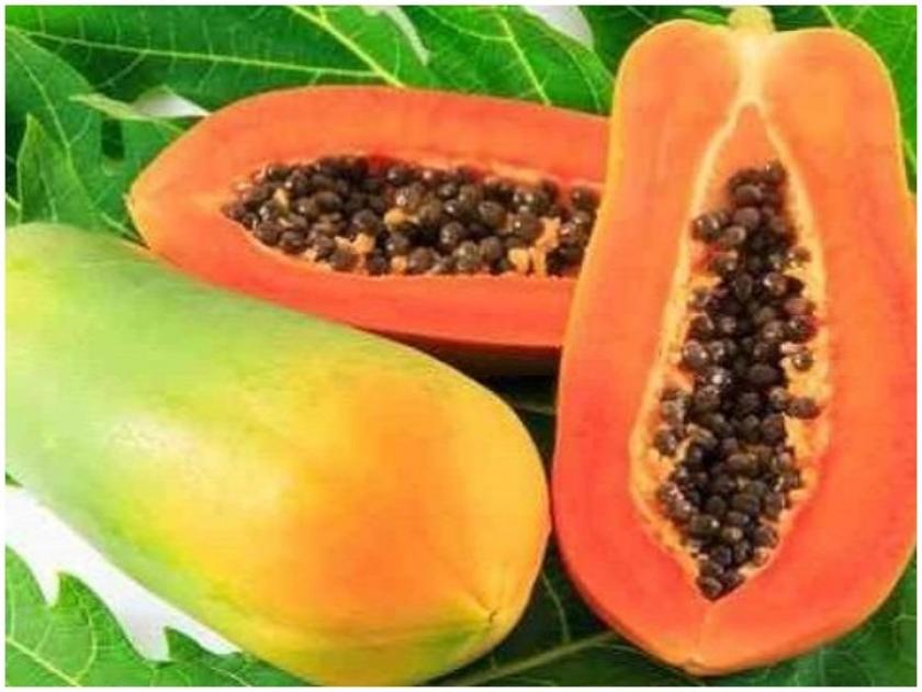 Papaya seeds benefits : How to eat these seeds | पपई कापल्यावर कधी फेकू नका त्यातील बीया, फायदे वाचून व्हाल अवाक्