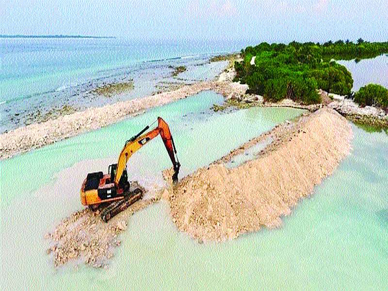 Question mark on salinity protection in Raigad | रायगडमधील खारफुटीच्या संरक्षणाबाबत प्रश्नचिन्ह