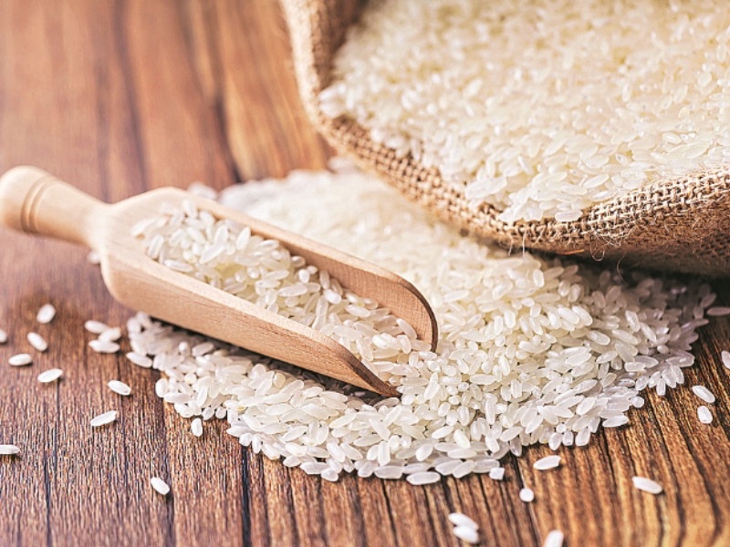 'Rice stuck' on Punjab-Haryana border due to farmers' agitation; Basmati prices rose as imports stopped | शेतकरी आंदोलनामुळे पंजाब- हरियाणा सीमेवर 'तांदुळ कोंडी'; आवक थांबल्याने बासमतीचे दर वाढले