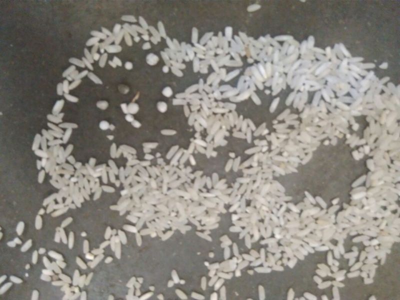 Chemical fertilizer adulterant in rice paddy: Types of manora taluka | रेशनच्या तांदळात होतेय रासायनिक खताची भेसळ : मानोरा तालुक्यातील प्रकार
